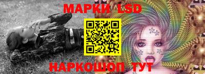 2c-b Новозыбков