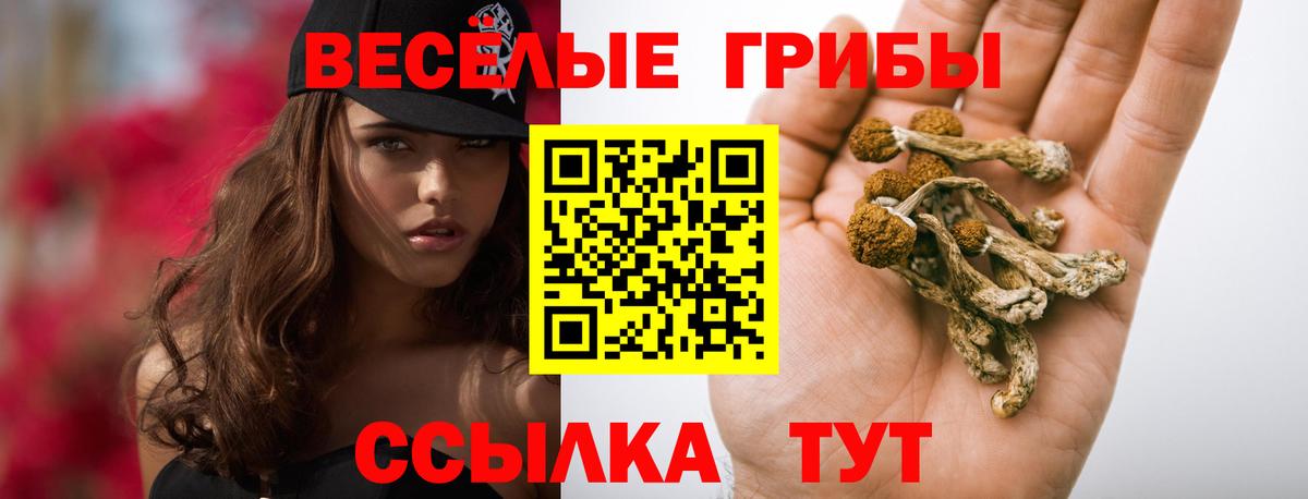 Псилоцибиновые грибы мицелий  Псилоцибиновые грибы ЛСД  Санкт-Петербург  Вход с VPN 