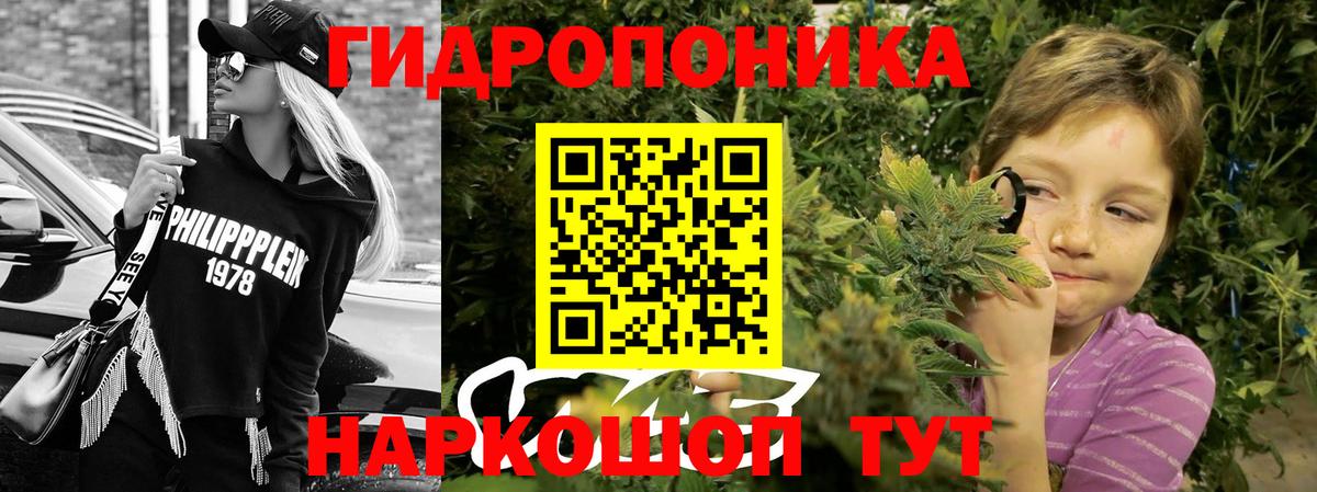 Шишки марихуана планчик  Шишки марихуана гибрид  Вход с VPN  Санкт-Петербург  Конопля VHQ 